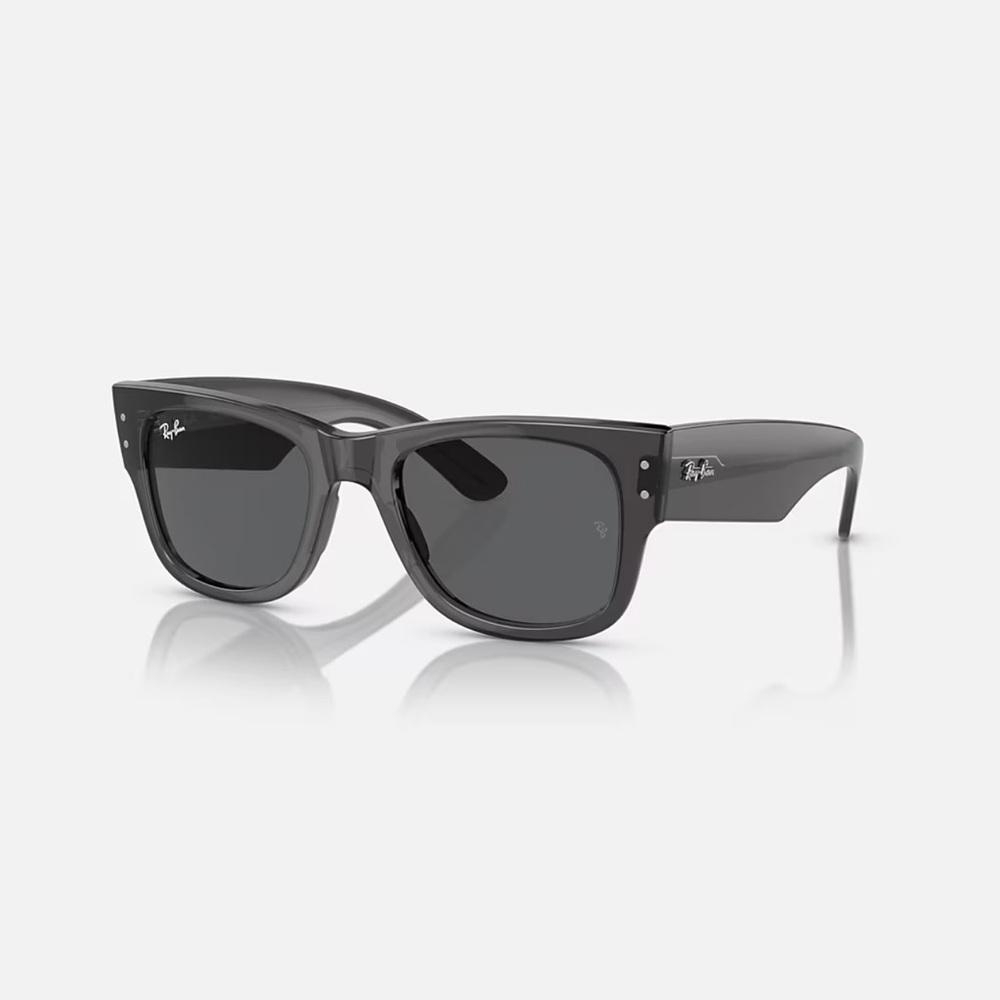 Ray-Ban Black Sunglasses